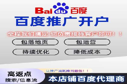案例分析：短视频平台信息流广告效果评估